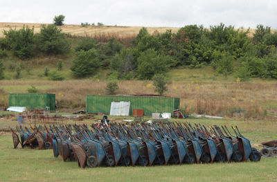 A lot of wheel barrows arranged in a field