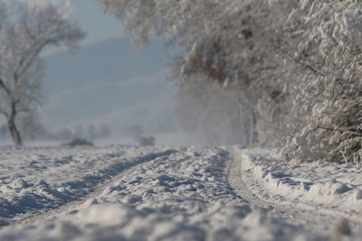 Close-up of snow