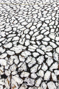 drought