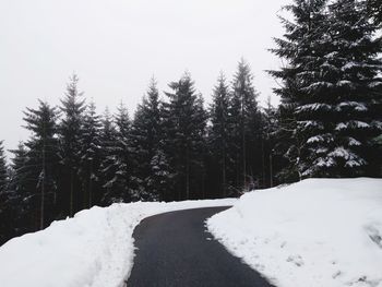 Snow covered road amidst trees