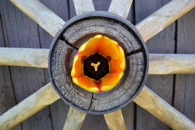 High angle view of pumpkin on wooden log