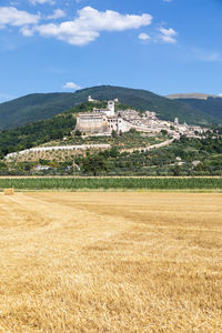 Scenic view of agricultural field against sky