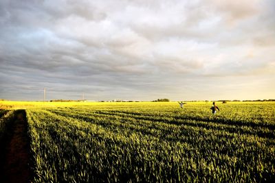 Scenic view of agricultural field against sky