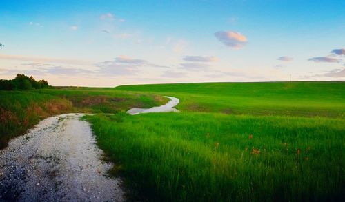 Scenic view of farm against sky