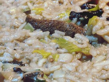 Full frame shot of food