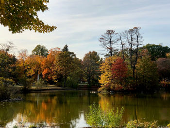 Scenic view of lake by trees against sky during autumn