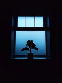 Silhouette tree against sky seen through window