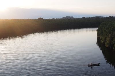 Swan on lake against sky during sunset