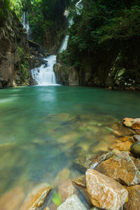 Scenic view of waterfall