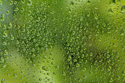 Full frame shot of wet glass