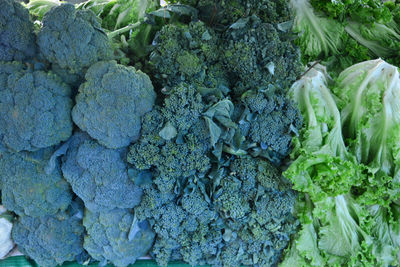 High angle view of vegetables for sale in market