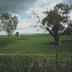 Scenic view of grassy field against cloudy sky
