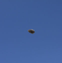 Low angle view of blue sky