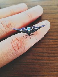 Close-up of hand feeding