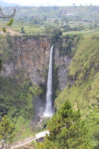 Scenic view of waterfall in forest