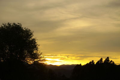 Low angle view of silhouette trees against sky during sunset