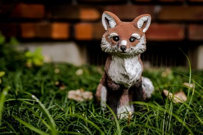 Close-up portrait of a animal on grass