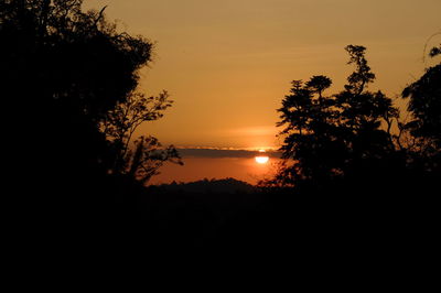 Silhouette trees by sea against sky during sunset