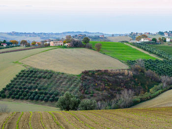 Scenic view of agricultural field against sky