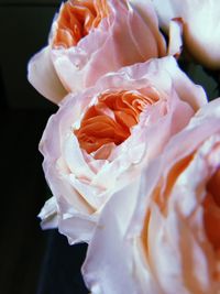Close-up of rose bouquet