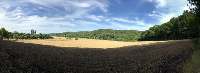 Scenic view of field against sky