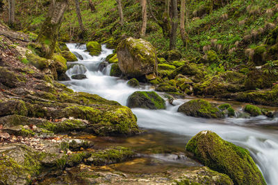 Scenic view of waterfall in forest