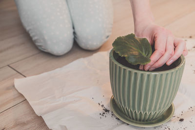 Midsection of woman holding plant in pot