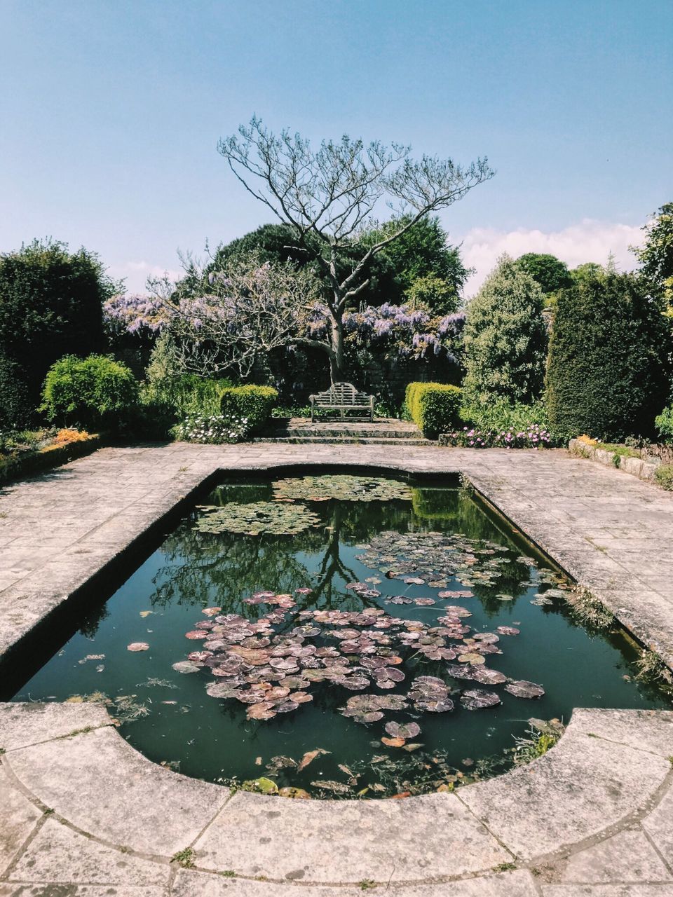 VIEW OF PLANTS IN LAKE