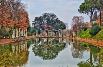 Reflection of trees in water