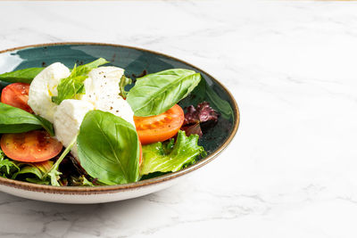 Traditional italian caprese tomato salad with mozzarella and basil on a green plate