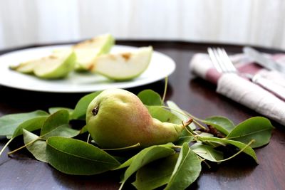 Close-up of food