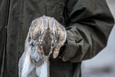 Rear view of dog outdoors