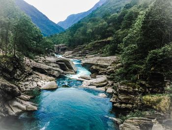 River flowing through rocks in forest