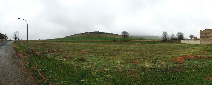 Scenic view of grassy field against sky