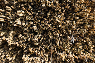 Full frame shot of logs in forest