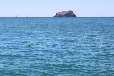 Scenic view of sea against clear sky