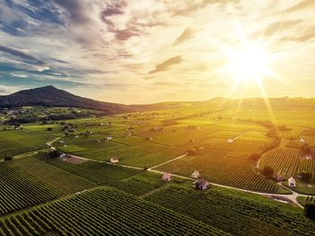 Scenic view of agricultural field against sky during sunset