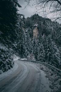 Road amidst trees against sky during winter