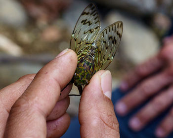 Close-up of cropped hand