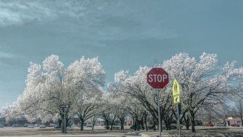 View of road against sky