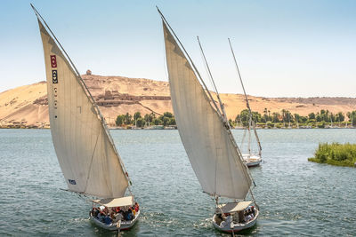 Sailboats sailing on sea against clear sky