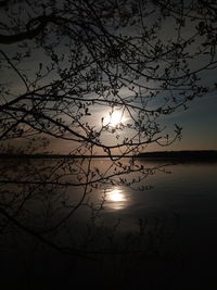 Silhouette tree by lake against sky during sunset