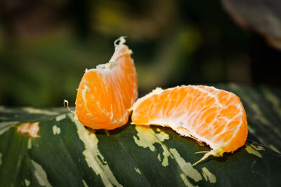 Close-up of orange fruit