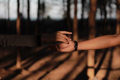 Close-up of people holding hands against trees