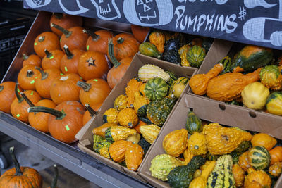 Decorative orange pumpkins on display at the market. harvesting, halloween and thanksgiving concept.