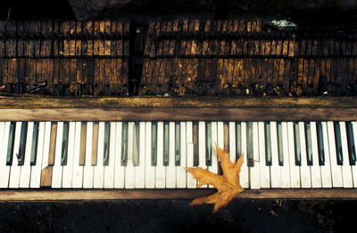 High angle view of leaf on piano