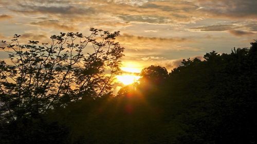 Silhouette trees against sky during sunset