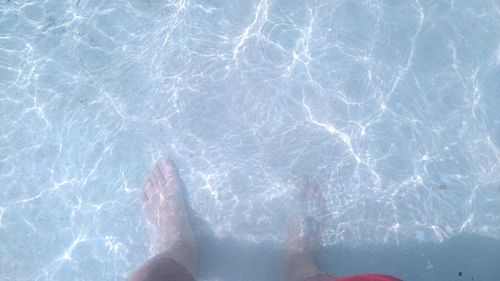 Low section of woman swimming in pool