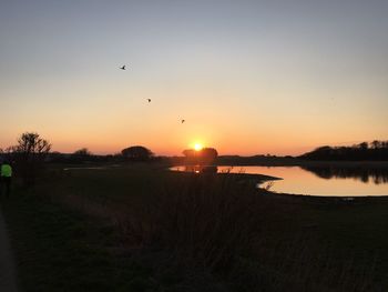 Silhouette birds flying over lake against sky during sunset