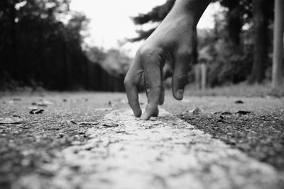 Close-up of hand holding leaf on land